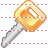 Access key icon