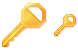 Key icons