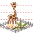 Zoological garden icon