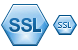 SSL icon