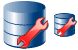 Repair database icon