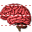 Brain icon