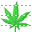 Cannabis icon