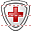 Insurance icon