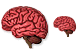 Brain .ico