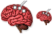 Brain probe .ico