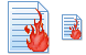 Burn document ico