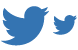 Twitter bird icons