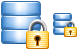 Lock database icon