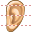 Ear icon