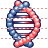 DNA strands icon