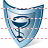 Health insurance icon