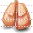 Lungs icon