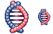 DNA strands icons