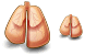 Lungs icons