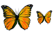 Butterfly icons