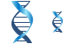 DNA helix icons