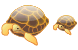 Turtle icons