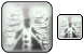 X-ray picture icons