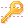 Access key icon