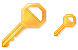 Access key icons