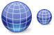 Globe icon