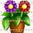 Flowers icon