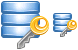 Database security icons