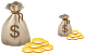 Money bag icon