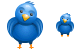 Twitter bird icon