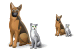 Pets icons