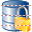 Lock database icon