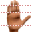 Palm icon