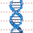 DNA icon