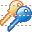 Key copy icon