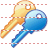Key copy icon